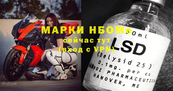 прущие грибы Абинск