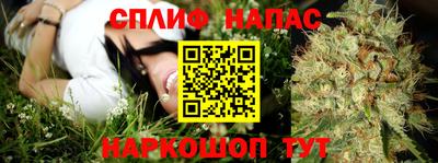 индика Краснодар