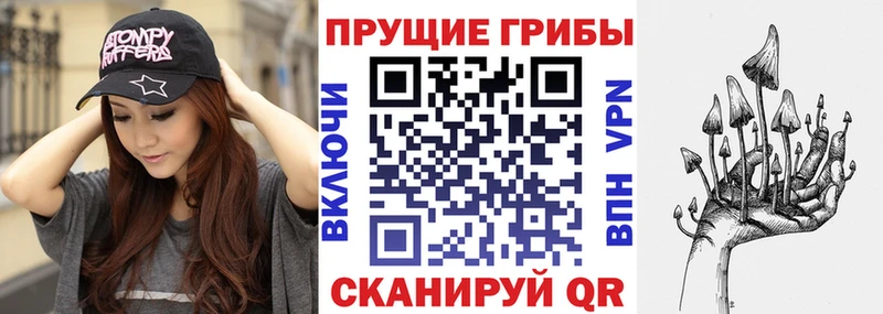 Псилоцибиновые грибы Psilocybe Саратов